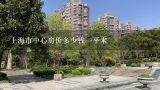 上海市中心房价多少钱一平米,上海松江房价23年上涨了吗