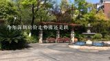 今年深圳房价走势涨还是跌,清林半山花园房价走势如何？