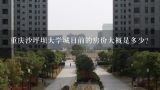 重庆沙坪坝大学城目前的房价大概是多少？重庆渝北空港新城那边房价怎么样？