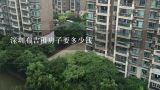深圳布吉租房子要多少钱,深圳布吉租房便宜的多少钱一个月在哪个地方比较便宜
