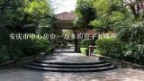 安庆市中心房价一万多的房子有哪些,碧桂园城市之光天悦4000一平方贵吗