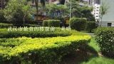 武汉市最贵的楼盘前三是啥,谁能告诉我目前宜昌各区域的房价啊?