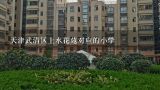天津武清区上水花苑对应的小学,龙湾城龙如园总建筑面积
