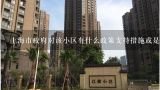 上海市政府对该小区有什么政策支持措施或是否有相关的优惠政策？