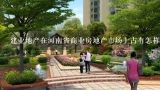 建业地产在河南省商业房地产市场上占有怎样的地位?