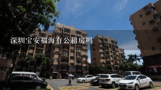深圳宝安福海有公租房吗