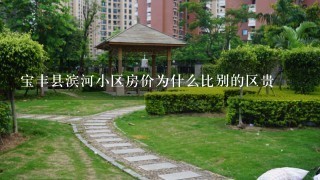 宝丰县滨河小区房价为什么比别的区贵