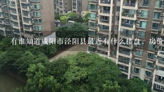 有谁知道咸阳市泾阳县最近有什么楼盘，房价是多少，想在泾阳买套房子，急等！