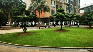 2013年郑州城中村拆迁规划中有柳林吗